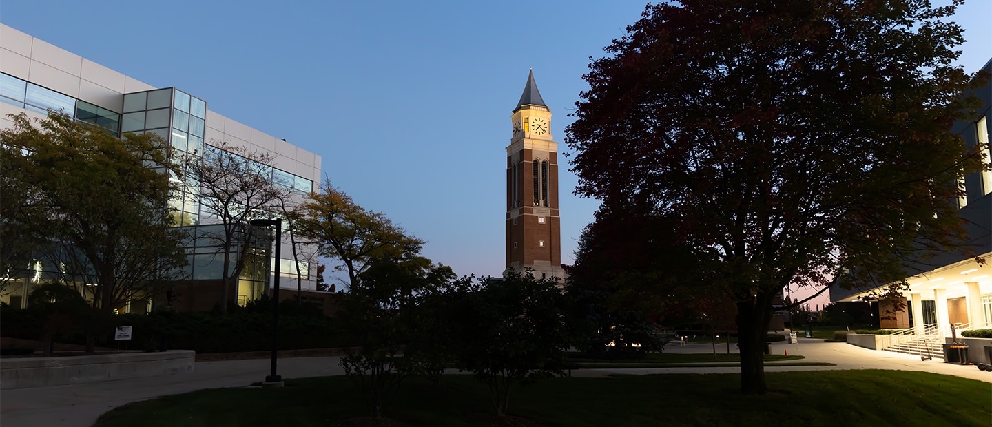 Image of the tower at night