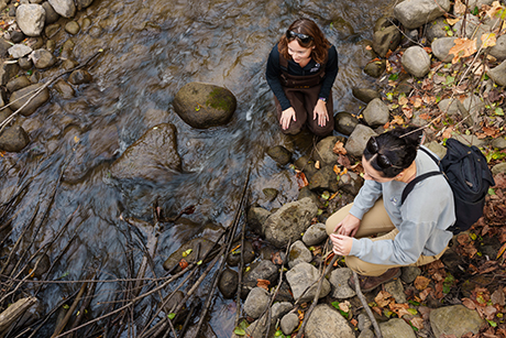 Ecology, Evolution and Environmental Biology