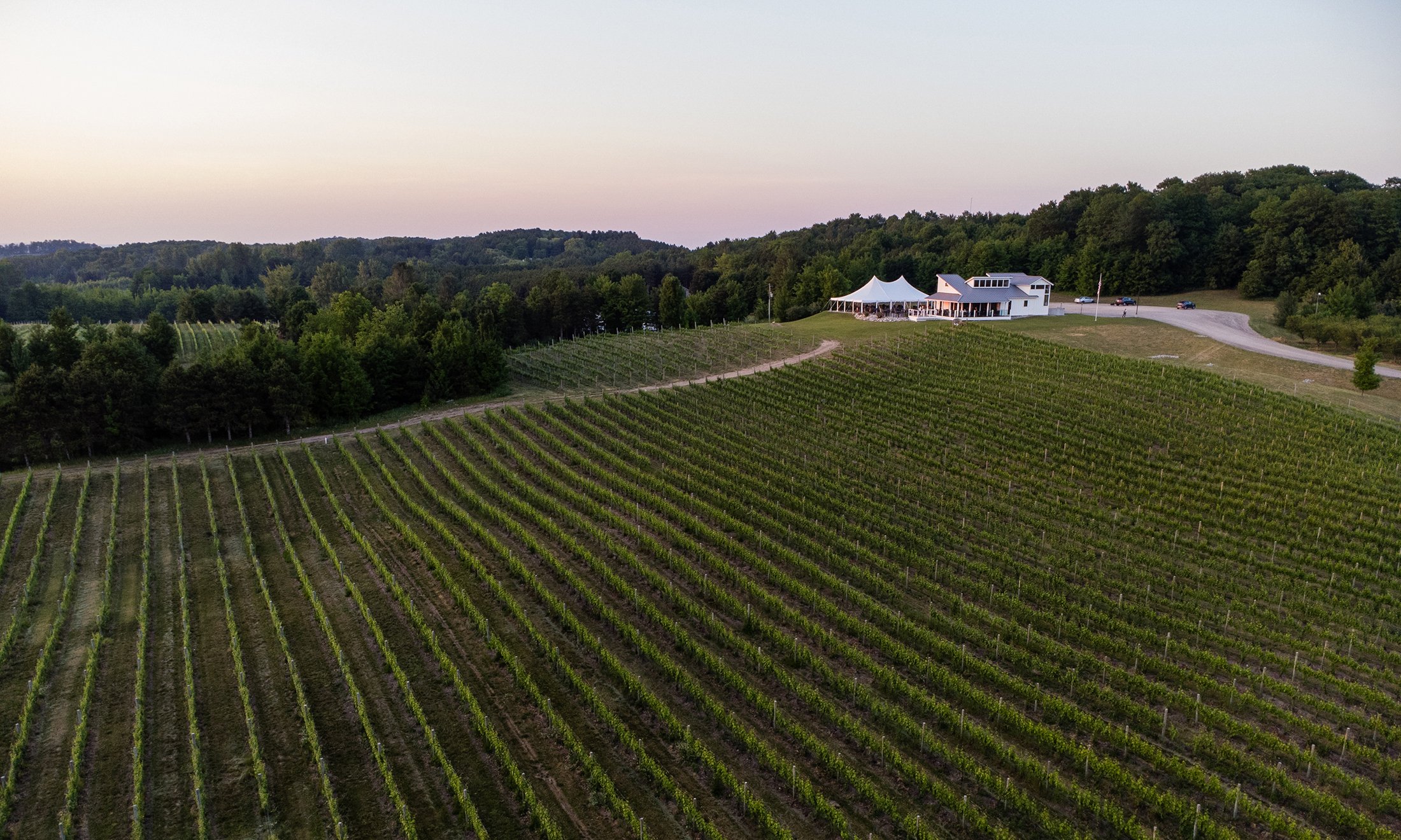 An aerial shot of Rove Estate Winery