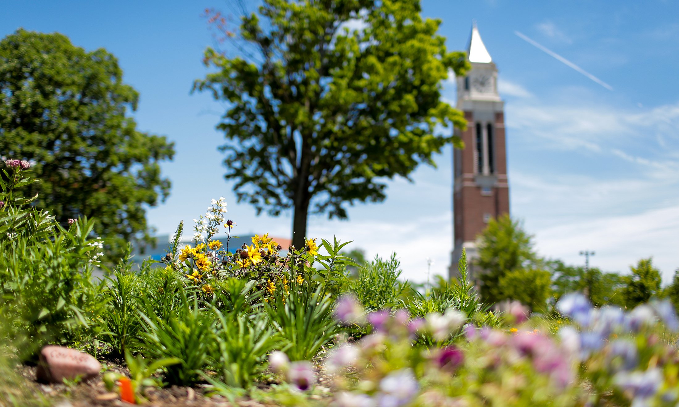 Flowers and trees with Elliott Tower in the background