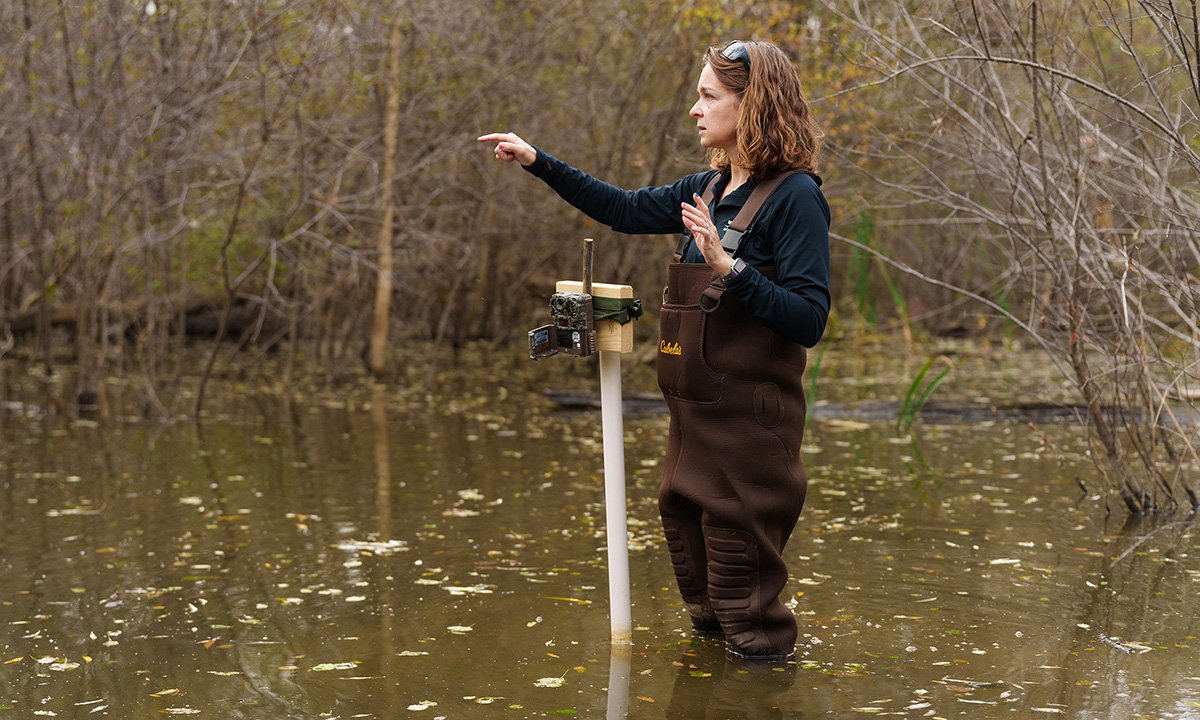 Preserving the Preserve