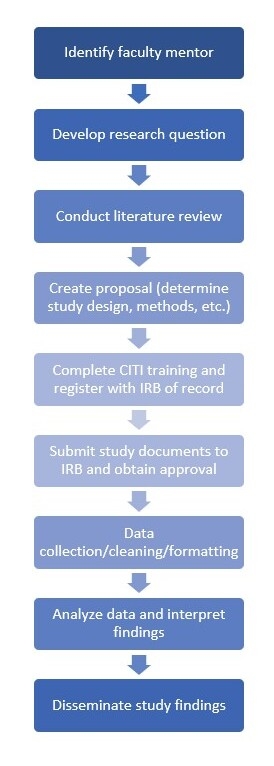 An image showing the research steps