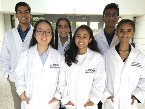 An image of program participants