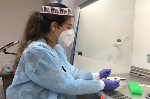 An image of a student in a lab