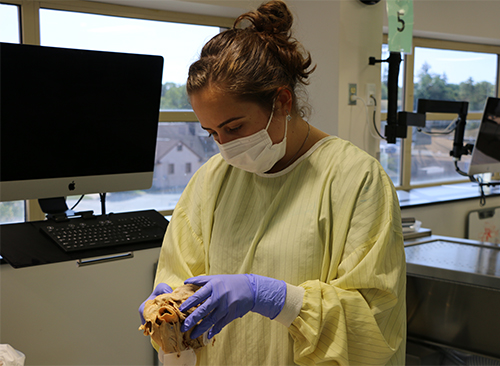 An image of a student in the OUWB Anatomy Lab