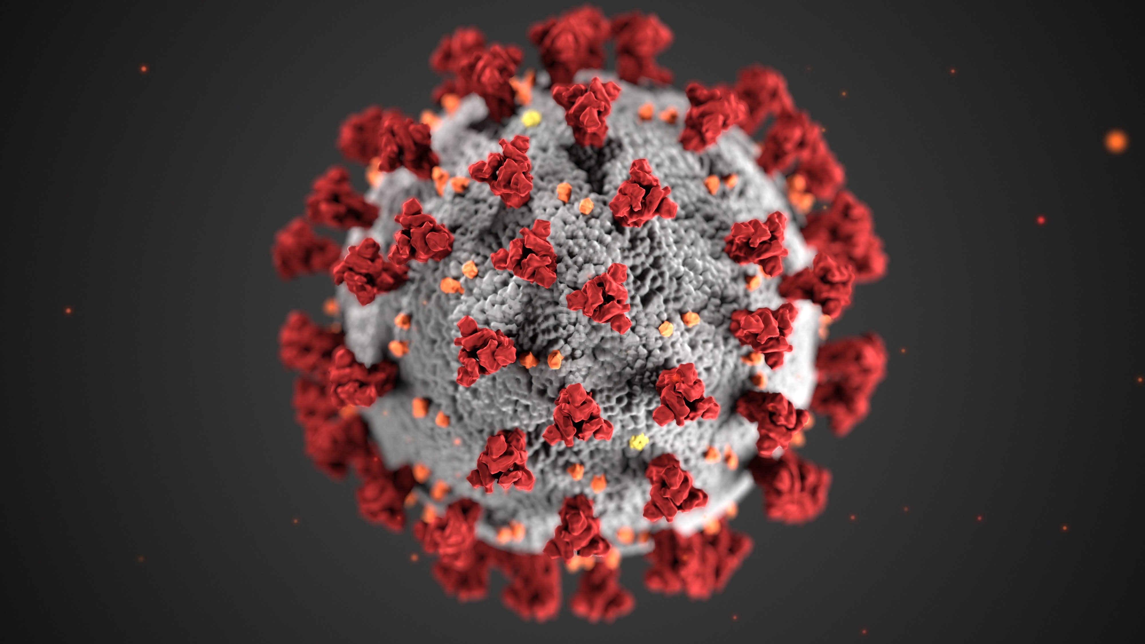 An image of the model of coronavirus