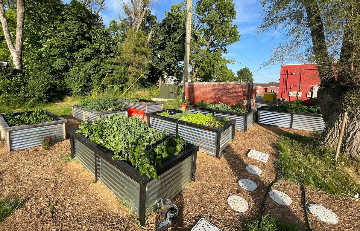 An image of the garden at the Gary Burnstein Community Health Clinic