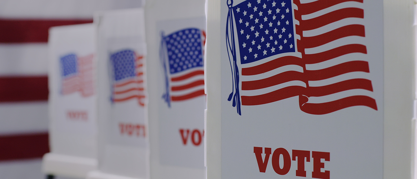 Signs that say Vote with American flags on them