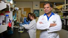 Aisha Zanib, lab manager and undergraduate research assistant for the Biochemistry and Endocrinology Laboratory in the Department of Clinical and Diagnostic Sciences.